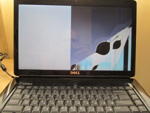 Dell Inspiron 1545 damaged screen